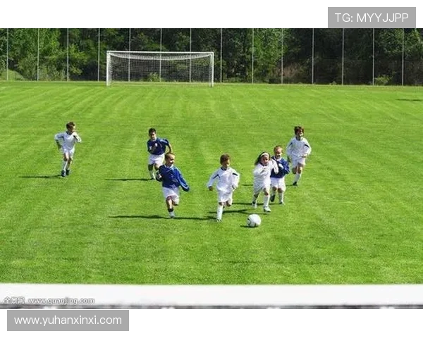 南京足球队展现顽强耐力的精彩表现与联赛前景分析 南京足球队展现顽强耐力的精彩表现与联赛前景分析