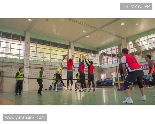 排球盛宴:深入解析杭州排球队的技术与战术魅力 排球盛宴:深入解析杭州排球队的技术与战术魅力