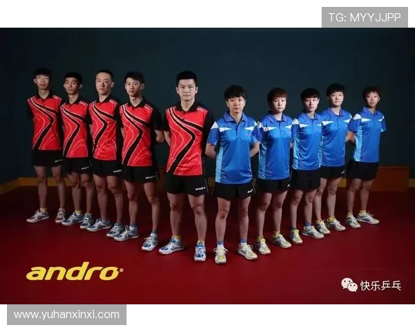 武汉乒乓球队与北京乒乓球队实力对比赛后分析与展望 武汉乒乓球队与北京乒乓球队实力对比赛后分析与展望