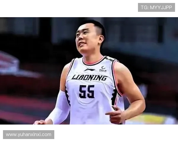 韩德君:从青涩少年到篮球巨星的奋斗历程与辉煌成就