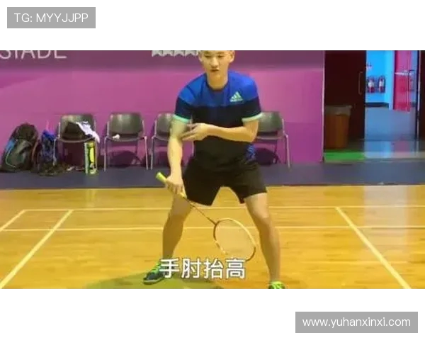 南京羽毛球队区域防守策略分析与战术解读探讨