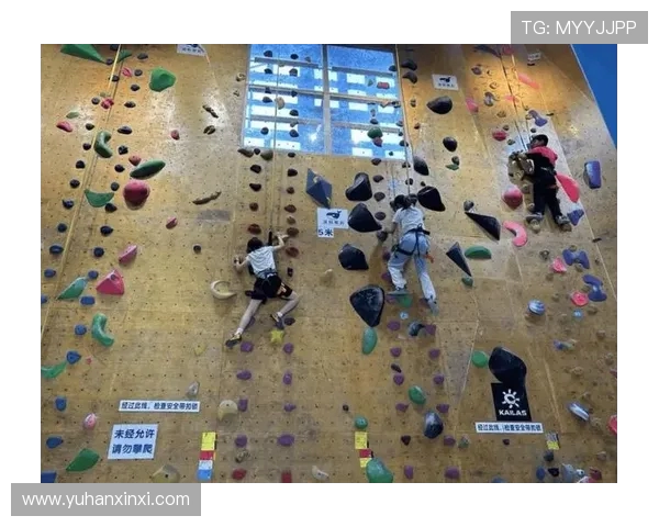 南京攀岩队的节奏探讨与攀岩文化的融合之旅