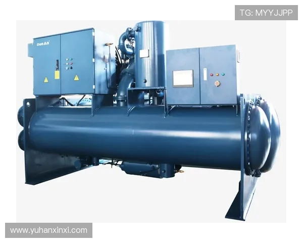 南京足球队的运营模式与发展策略深度解析